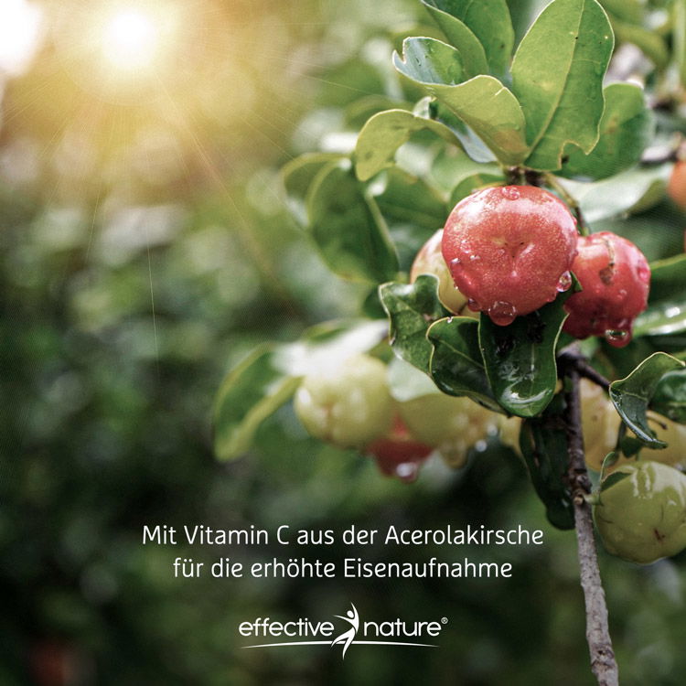 Mit Vitamin C aus der Acerolakirsche für die erhöhte Eisenaufnahme