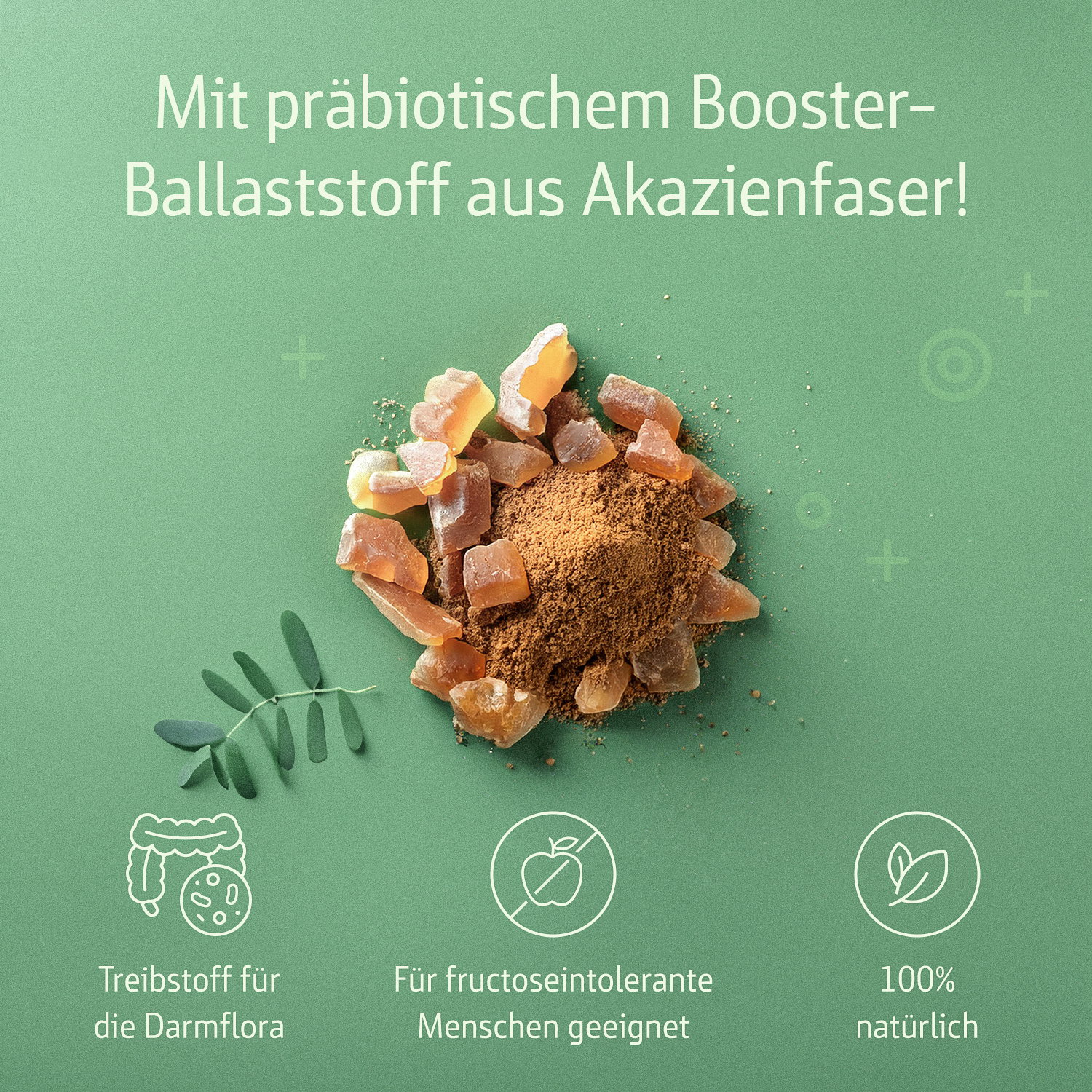 Combi Flora Symbio Pulver - 70g