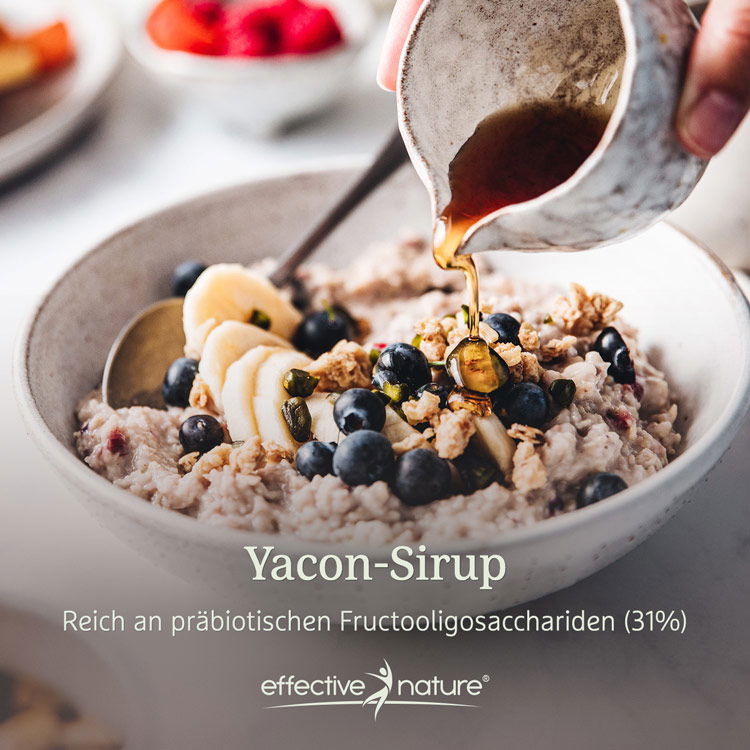 Yacon-Sirup: rech an präbiotischen Fructooligosacchariden (31%)