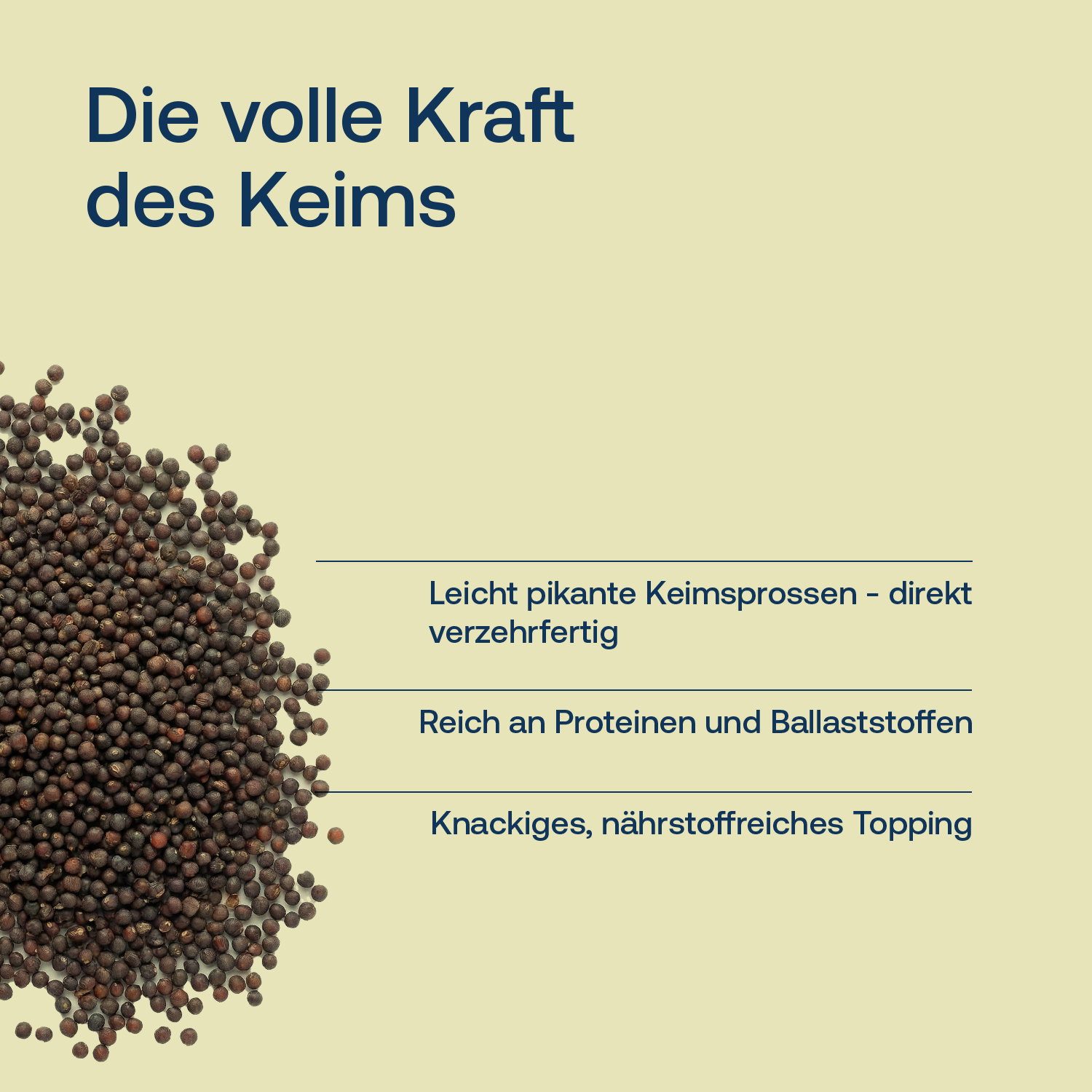 Gekeimte Brokkolisamen - Bio - 250g