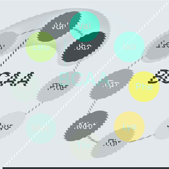 Schematisches Schaubild aller essentieller Aminosäuren