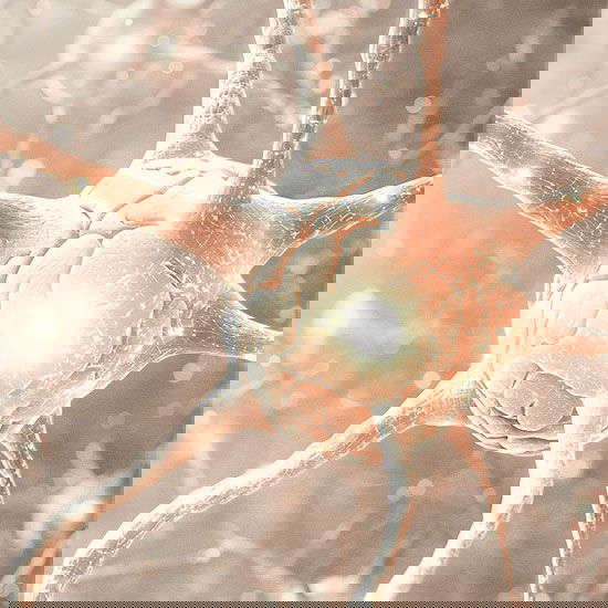 Schematische Darstellung eines Neurons