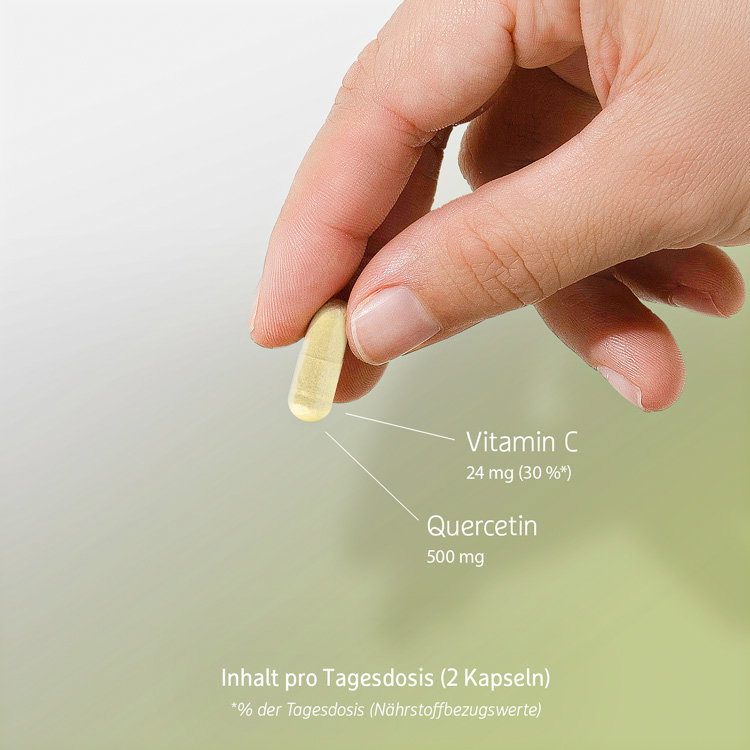 Quercetin-Kapseln - 60 Stk. - 33g