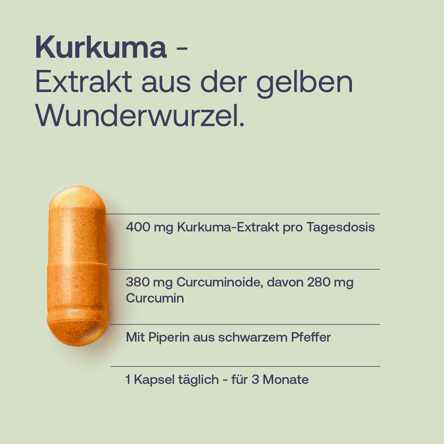 Kurkuma Kapseln mit Curcumin und Piperin