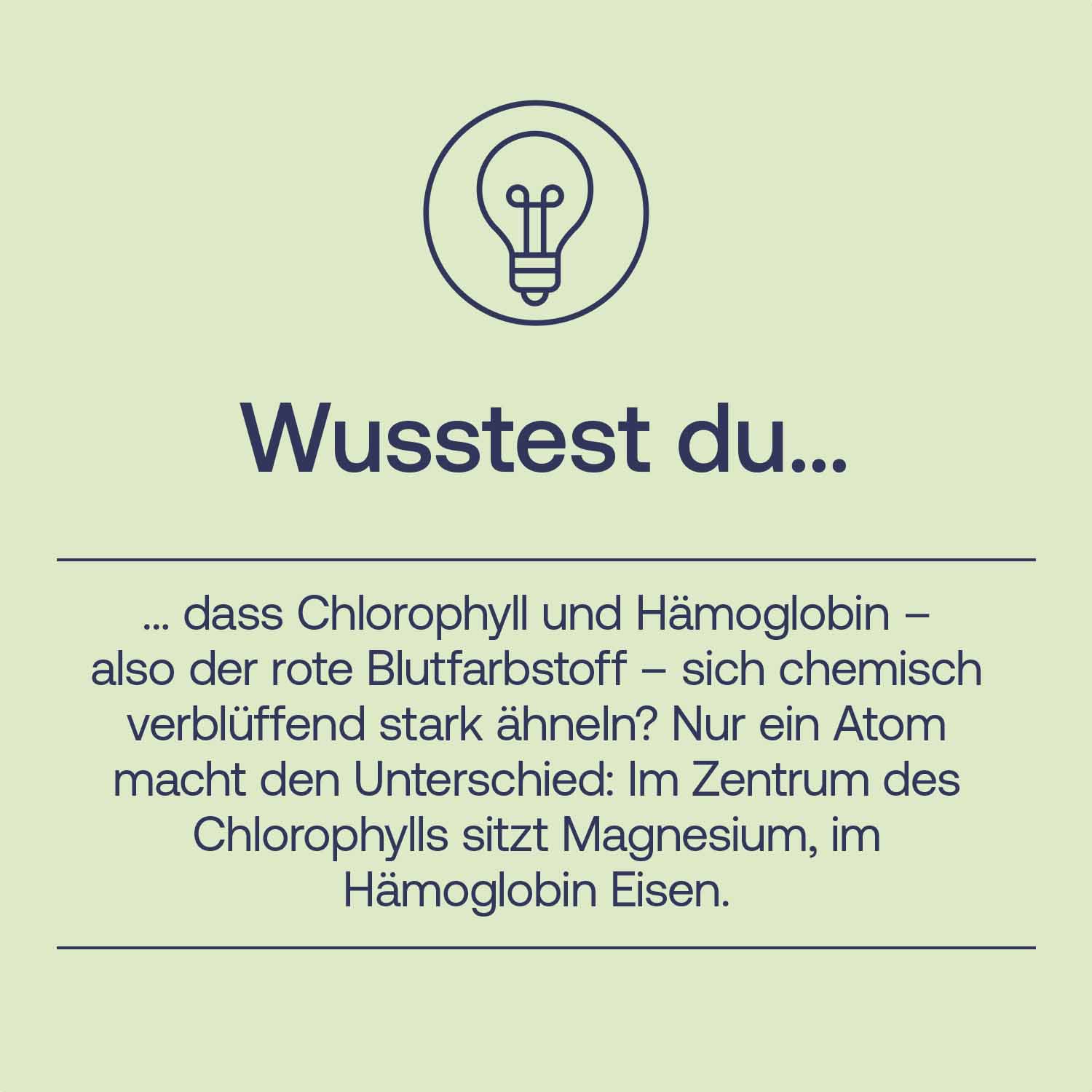 Wissesnswerte Info zu Chlorophyll
