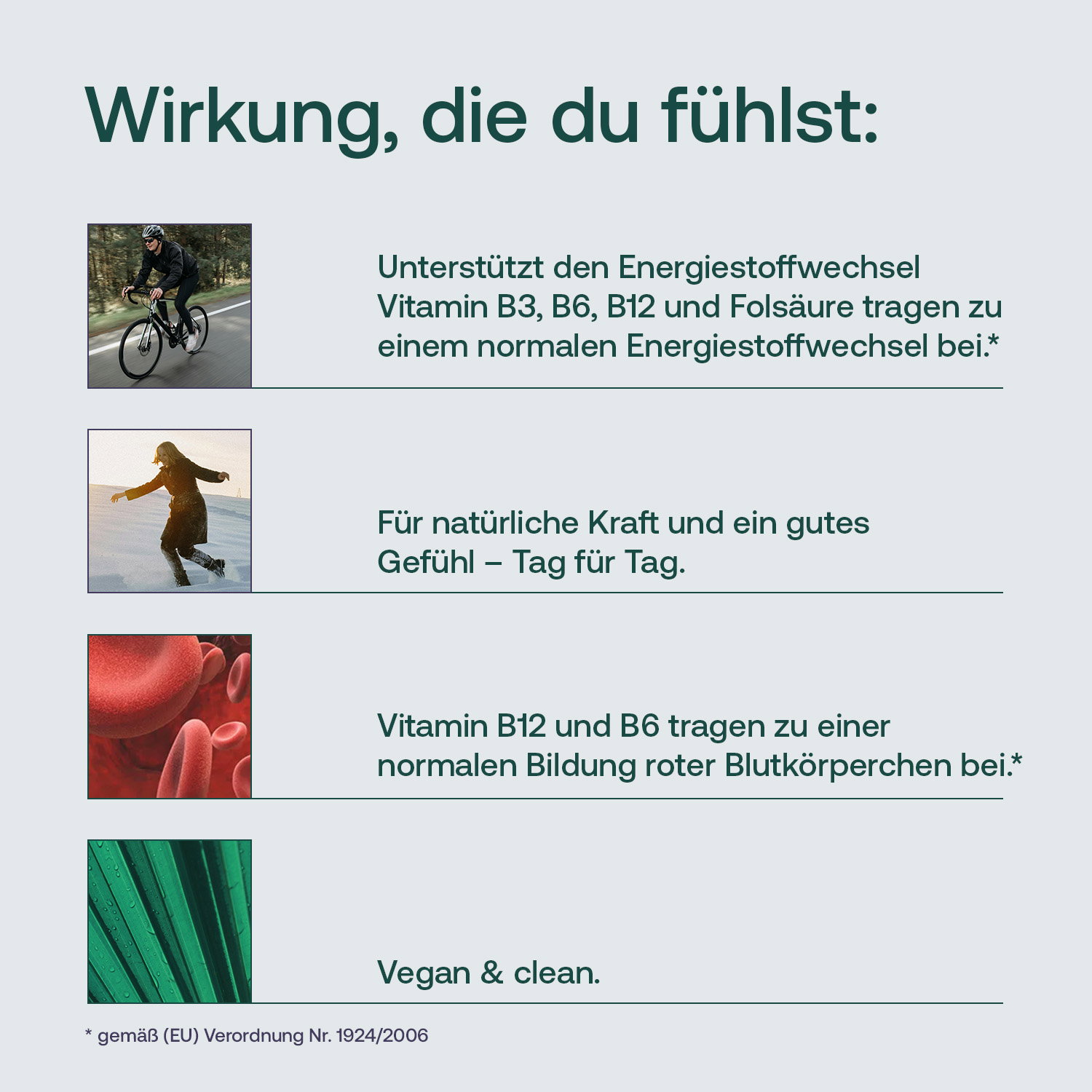 Infografik zu L-Arginin mit Energie, Blutbildung, Wohlbefinden und vegan