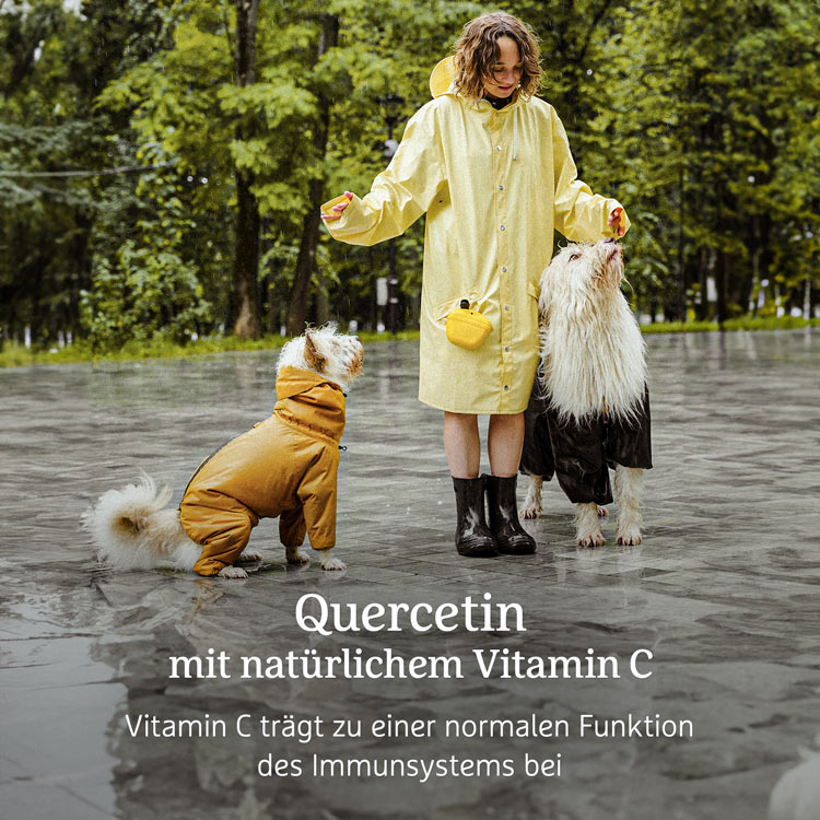 Quercetin-Kapseln - 60 Stk. - 33g