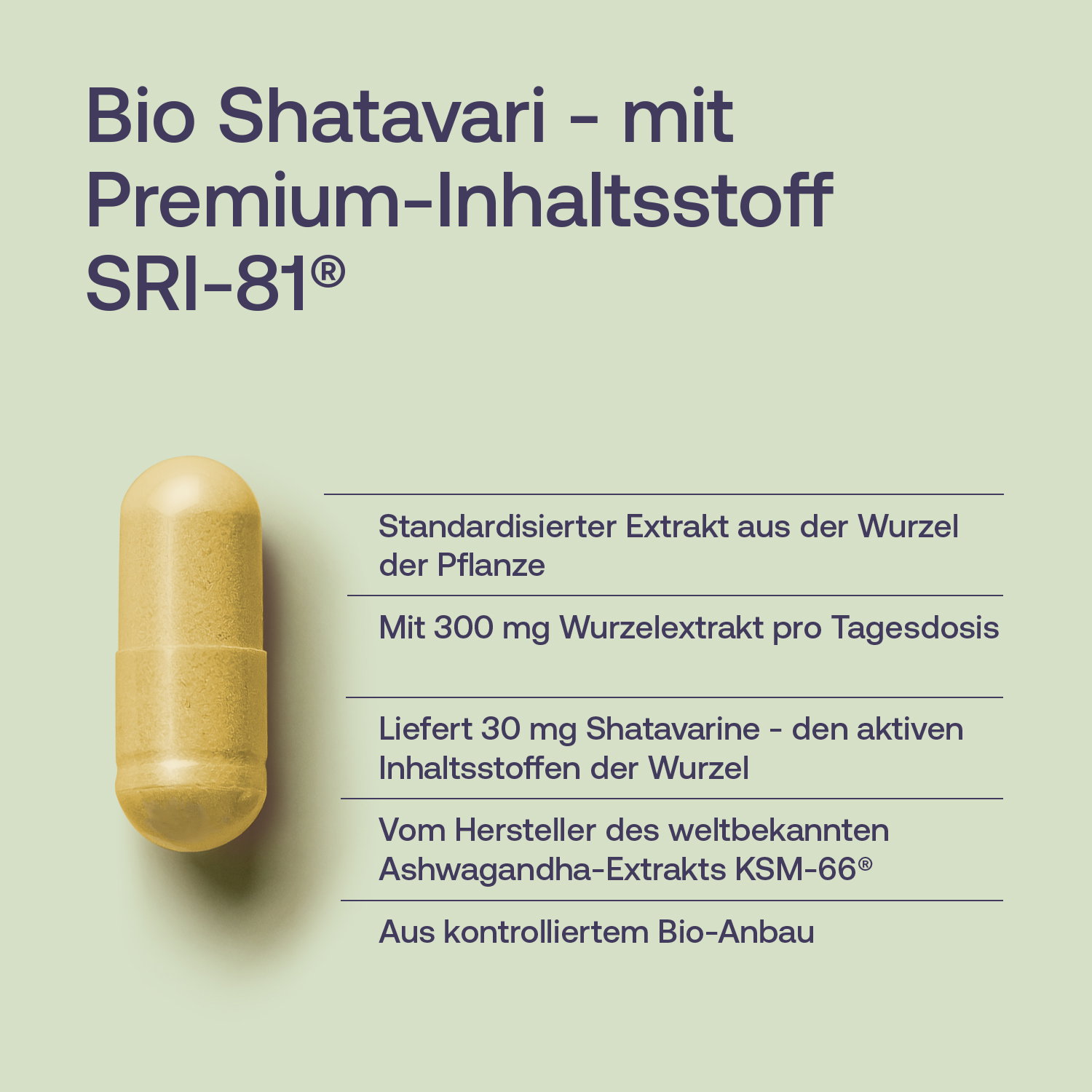 Shatavari Kapseln - Bio - 60 Stk. - 22g