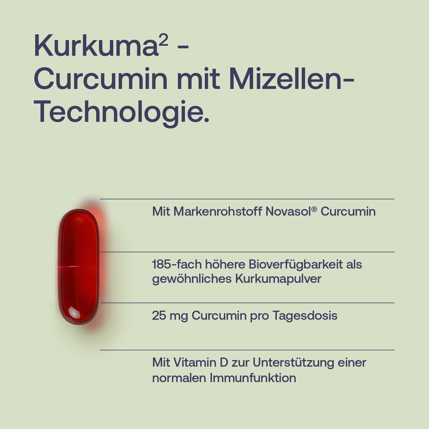 Curcumin hochdosiert Kapseln - 60 Stk. - 36g