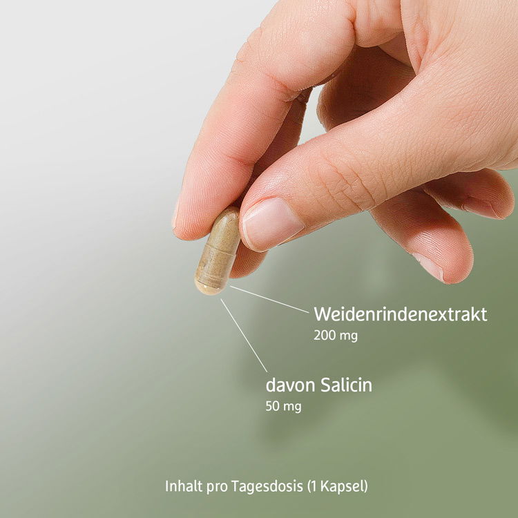 Schematische Abbildung der Inhaltsstoffe