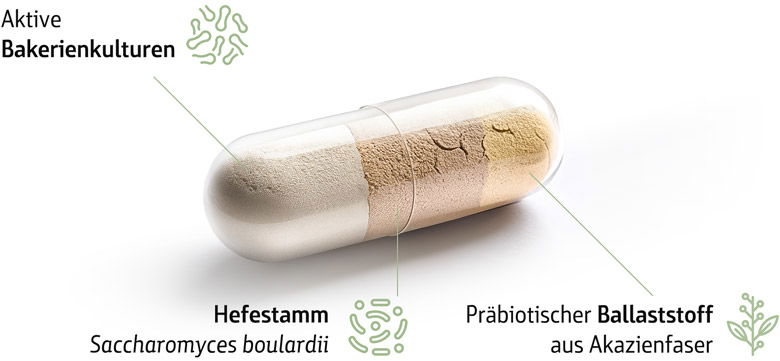 Bestandteile Combi Flora SymBio Darstellung der drei Bestandteile: Aktive Hefekulturen, Hefestamm, Präbiotischer Ballaststoff aus Akazienfaser