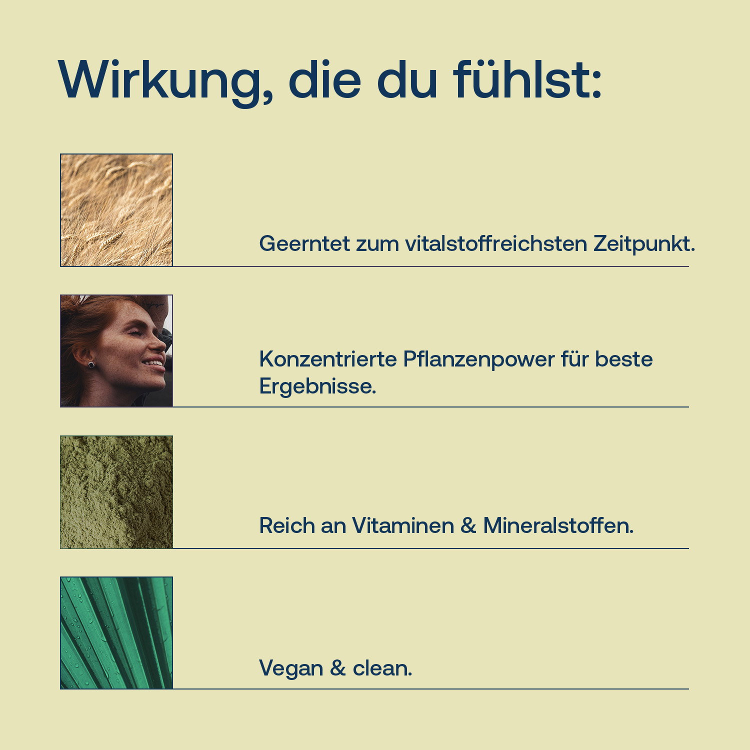 Bio Gerstengrassaft-Pulver mit Hinweisen zu Erntezeitpunkt, Nährstoffgehalt und veganer Qualität