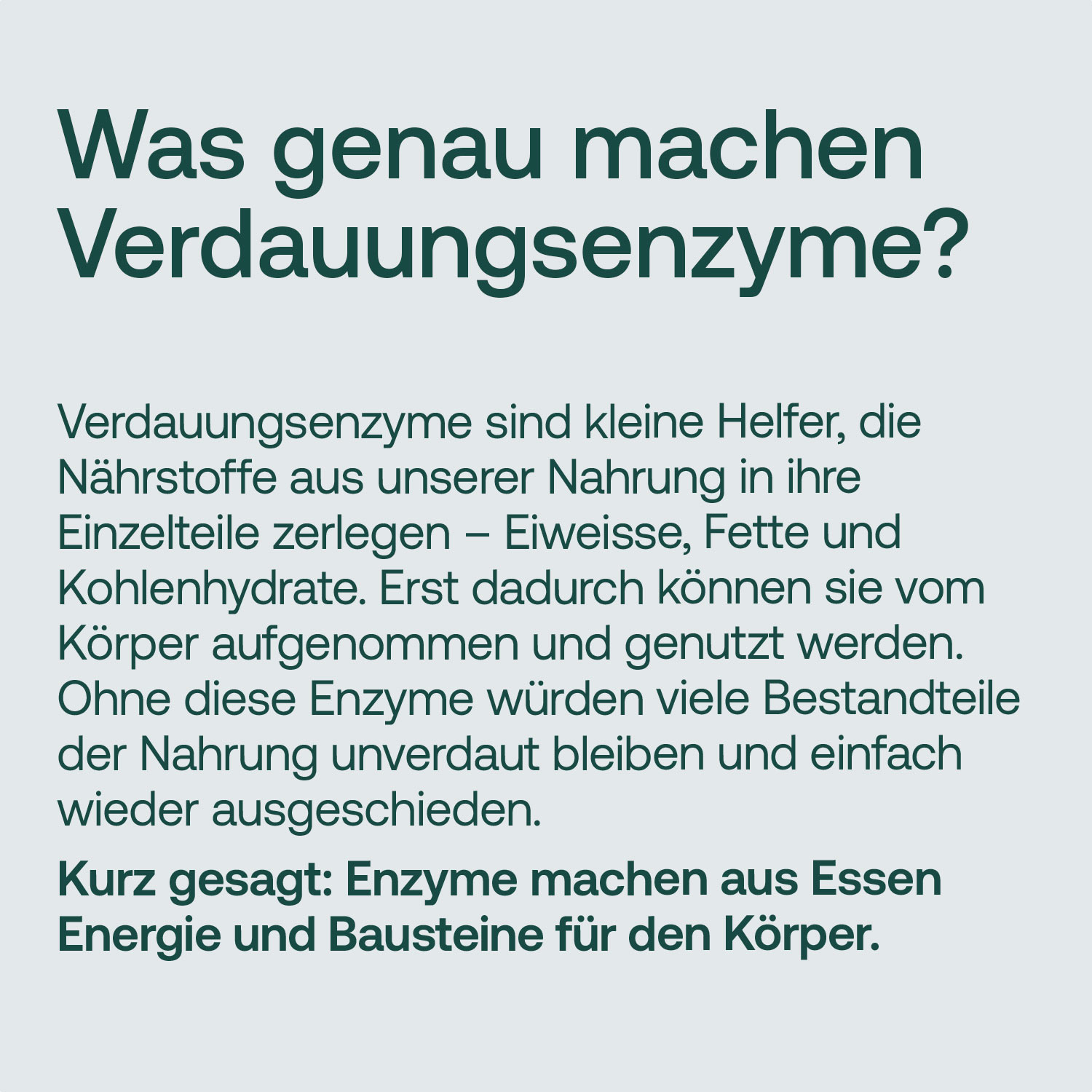 Textbild mit der Frage nach der Funktion von Verdauungsenzymen und deren Erklärung