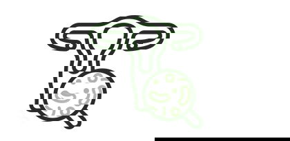Schematische Darstellung der Intimflora als Icon