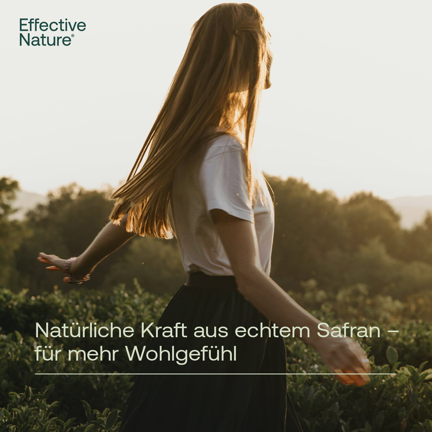 Safran Extrakt Kapseln - 120 Stk. - 27g