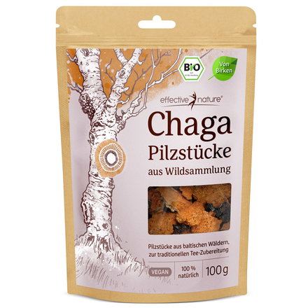 Chaga - der Teepilz in Bio-Qualität