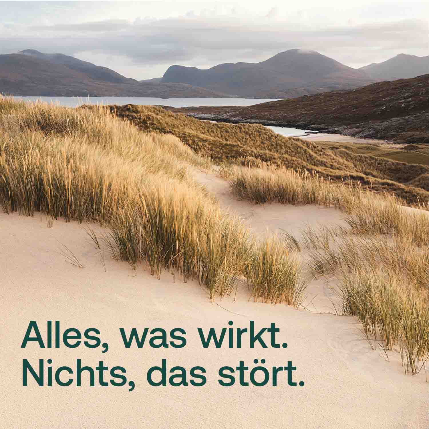 Text: Alles, was wirkt. Nichts, das stört,
