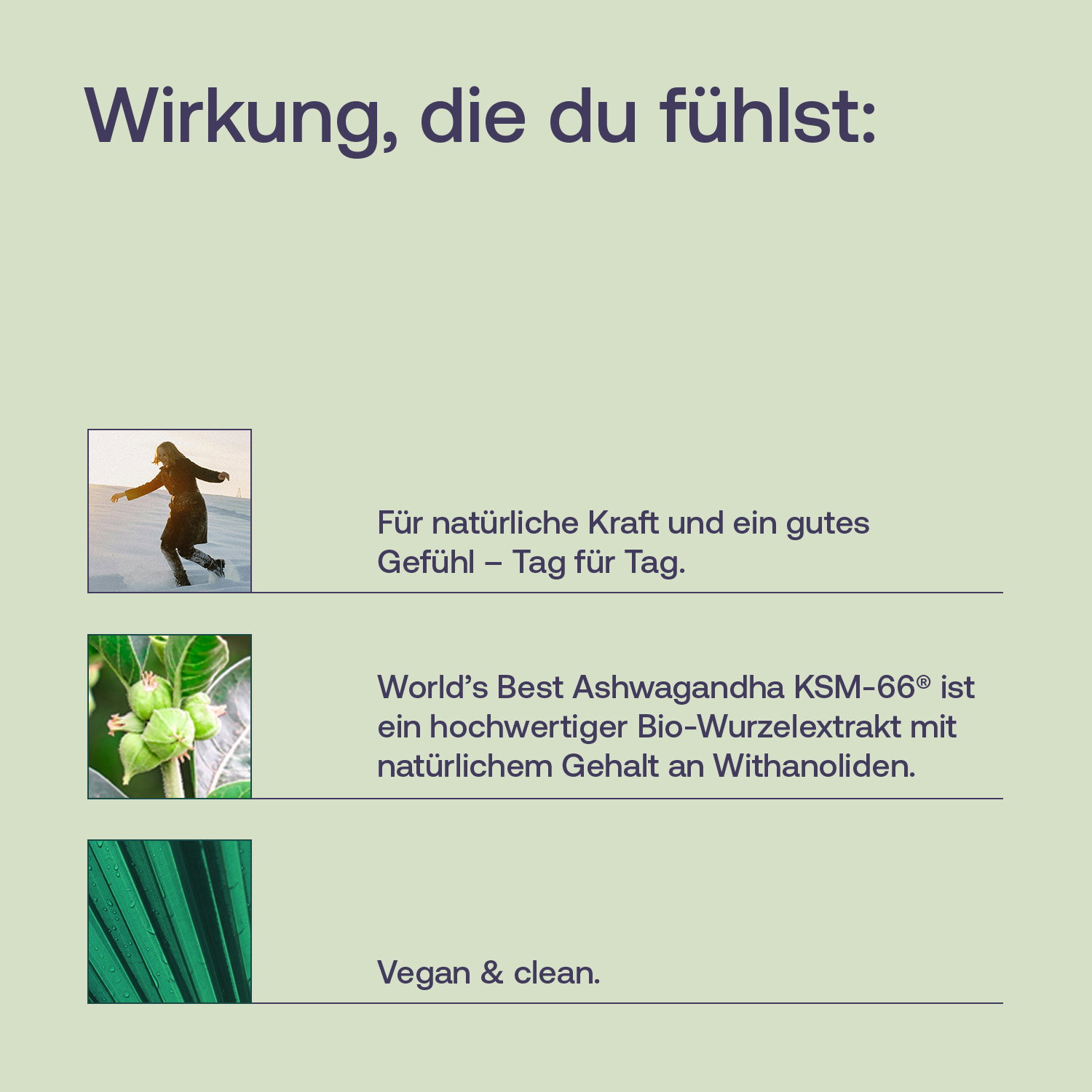 Bio-Aswagandha: für natürliche Kraft, mit KSM-66, vegan & clean