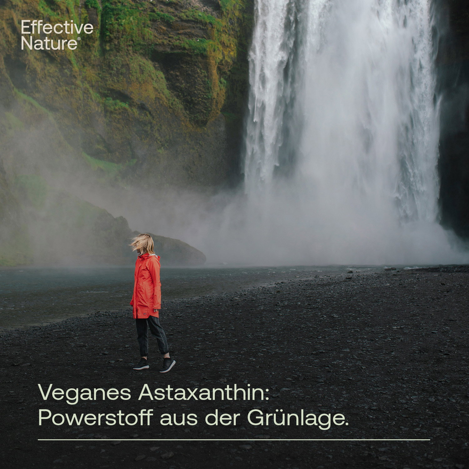 Astaxanthin vegan Kapseln - 60 Stk. - 21g