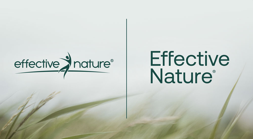 Logo von Effective Nature auf einem sanften Naturhintergrund mit Gräsern im Vordergrund