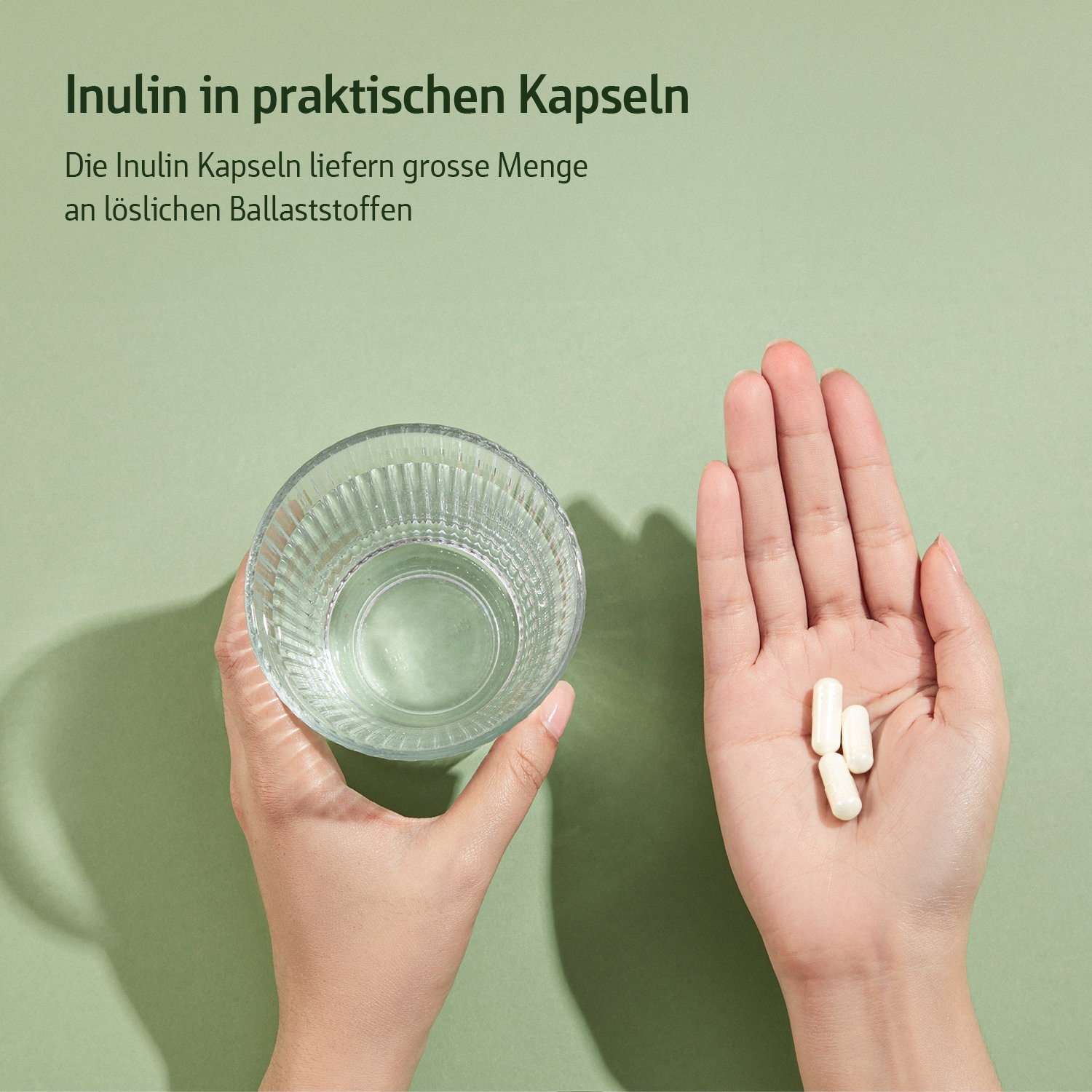 Inulin Kapseln - Combi Flora - Bio - 270 Stk. - 180g