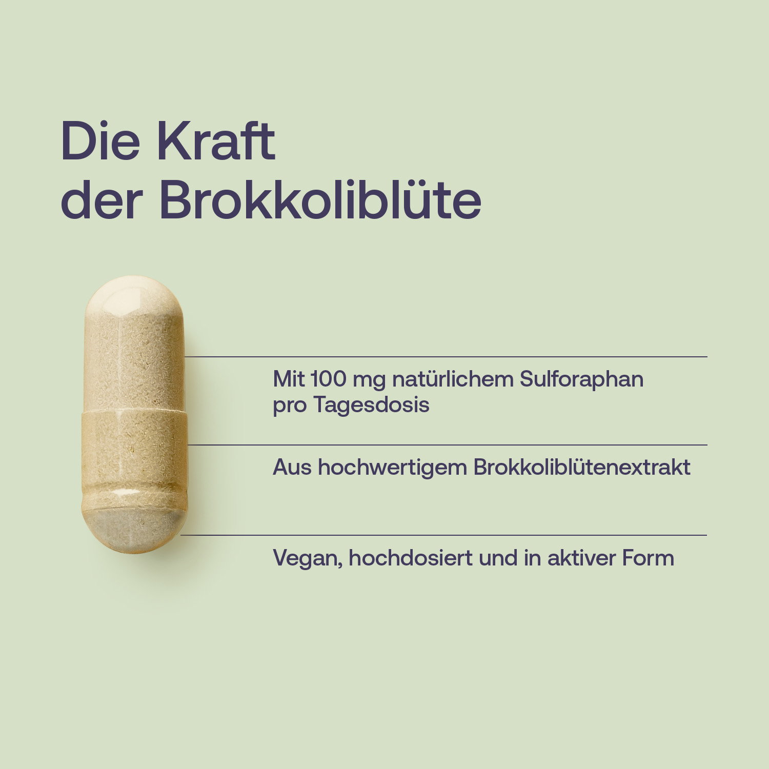 Sulforaphan Kapseln - 120 Stk. - 86g