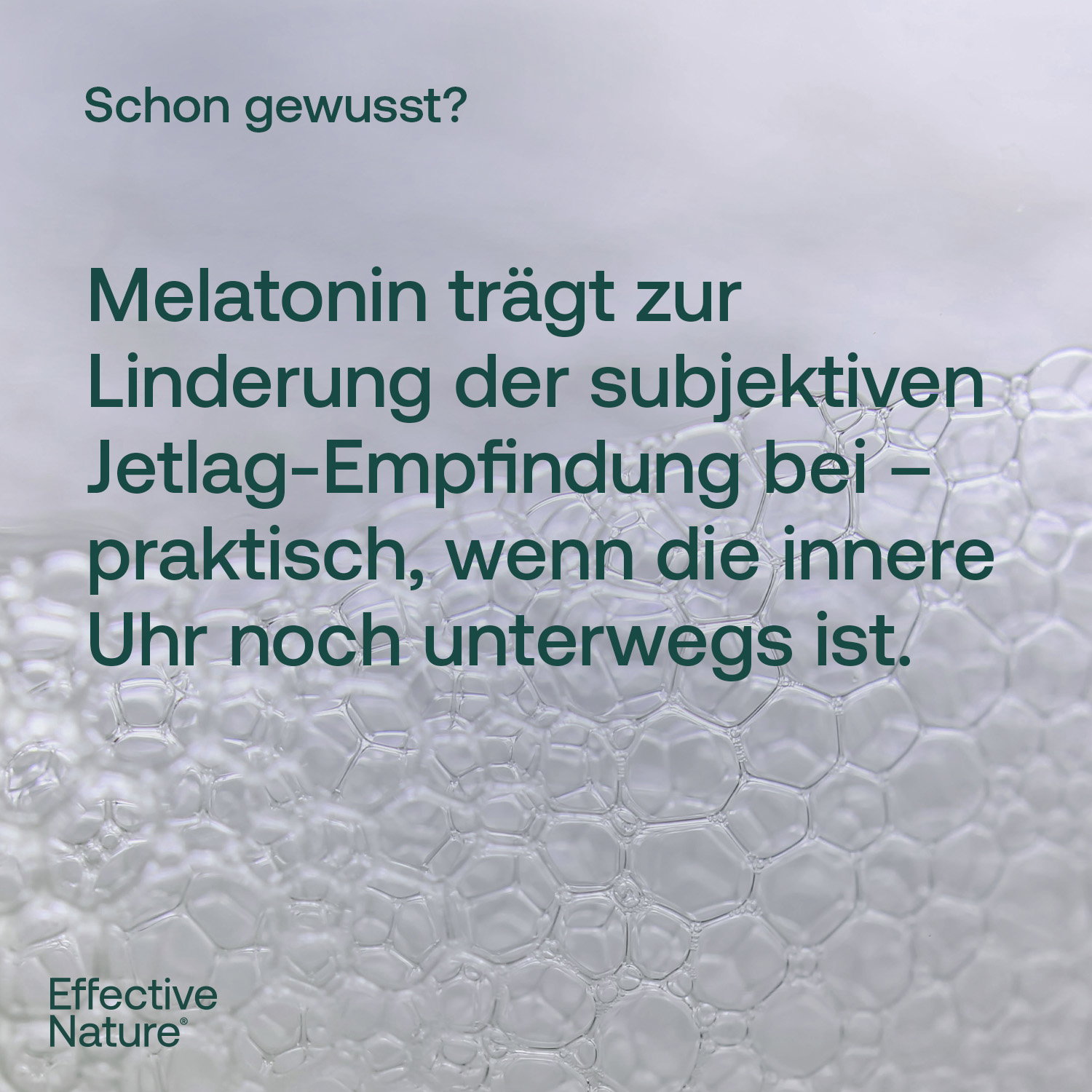 Melatonin Tropfen - 50ml