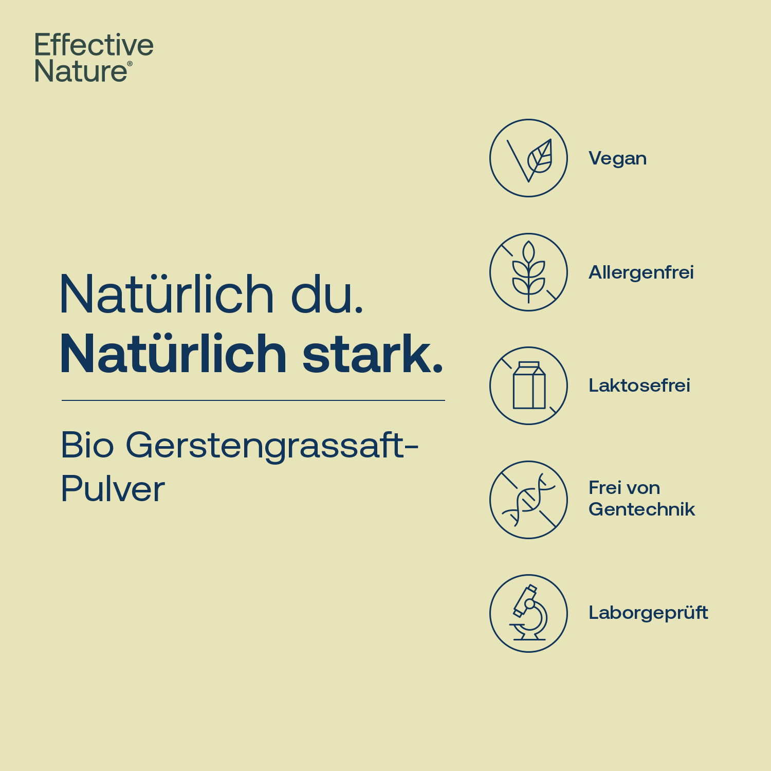 Gerstengrassaft-Pulver: vegan, allergenfrei, lactosefrei, frei von Gentechnik, Laborgeprüft