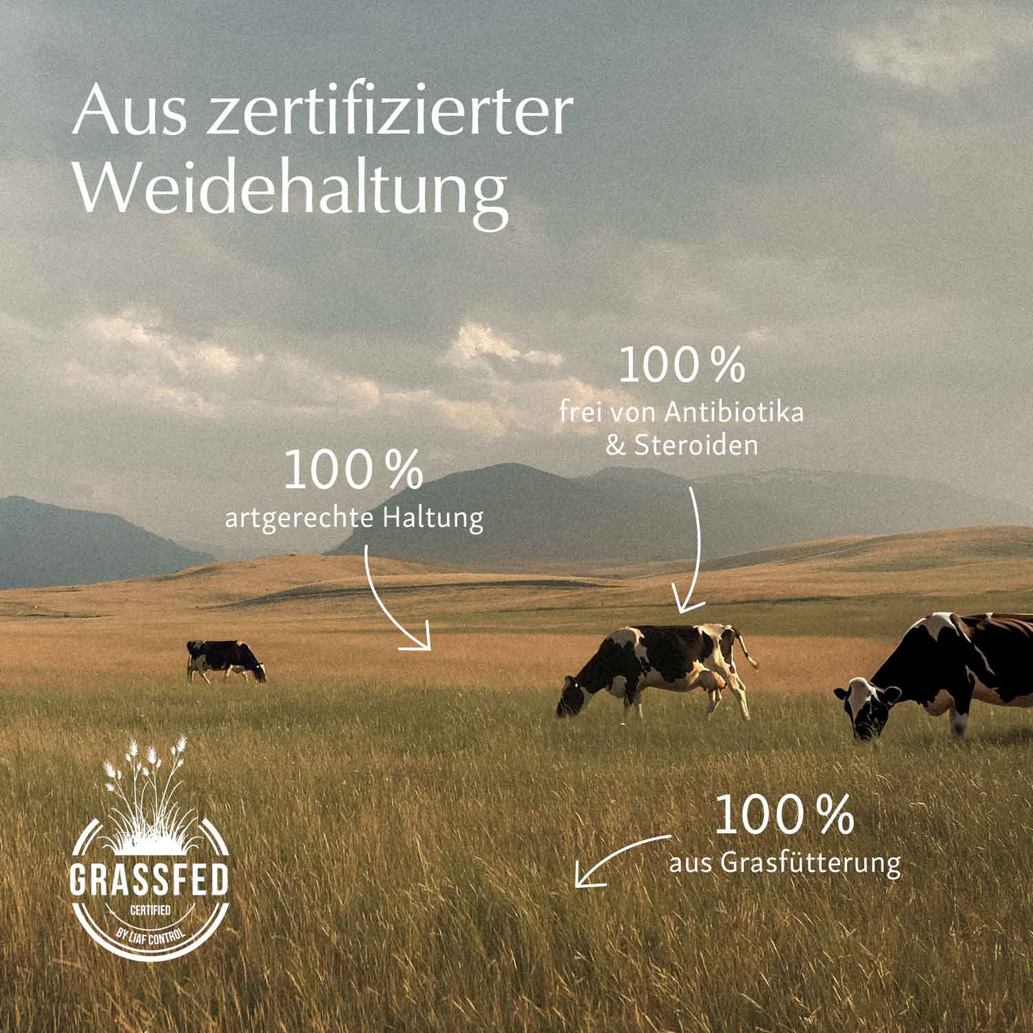 Kollagen aus zertifizierter Weidehaltung: 100 % artgerechte Haltung, 100% frei von Antibiotika & Steroiden, 100% aus Grasfütterung