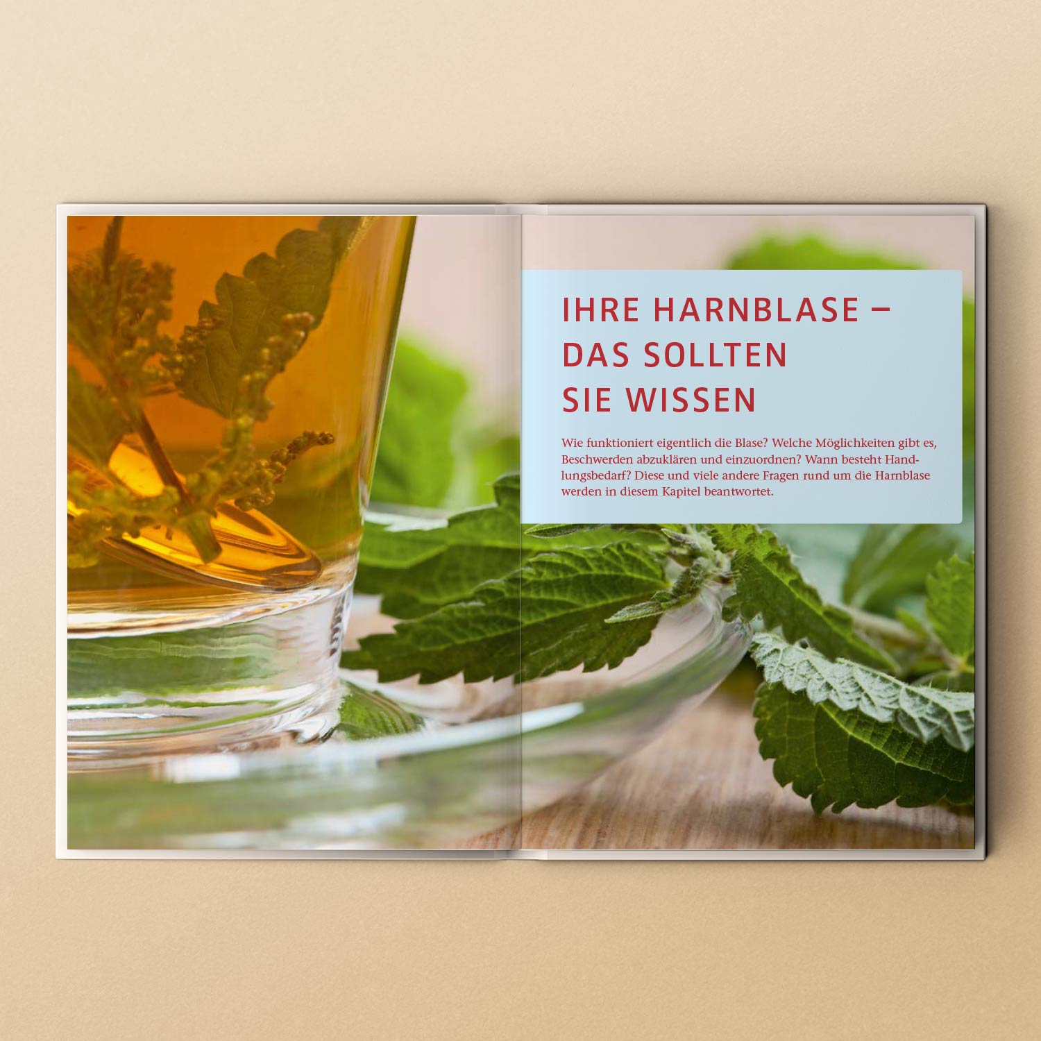 Aufgeschlagenes Buch mit einem Kapitel über die Harnblase und einem Glas Kräutertee auf einer Unterlage aus frischen Kräutern