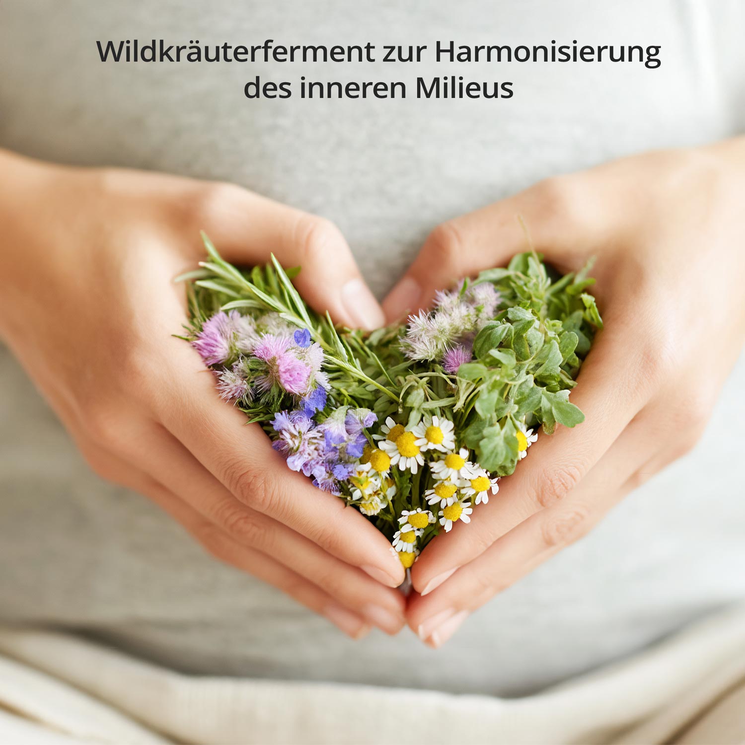 Hände halten Wildkräuter in Herzform zur Förderung des Wohlbefindens