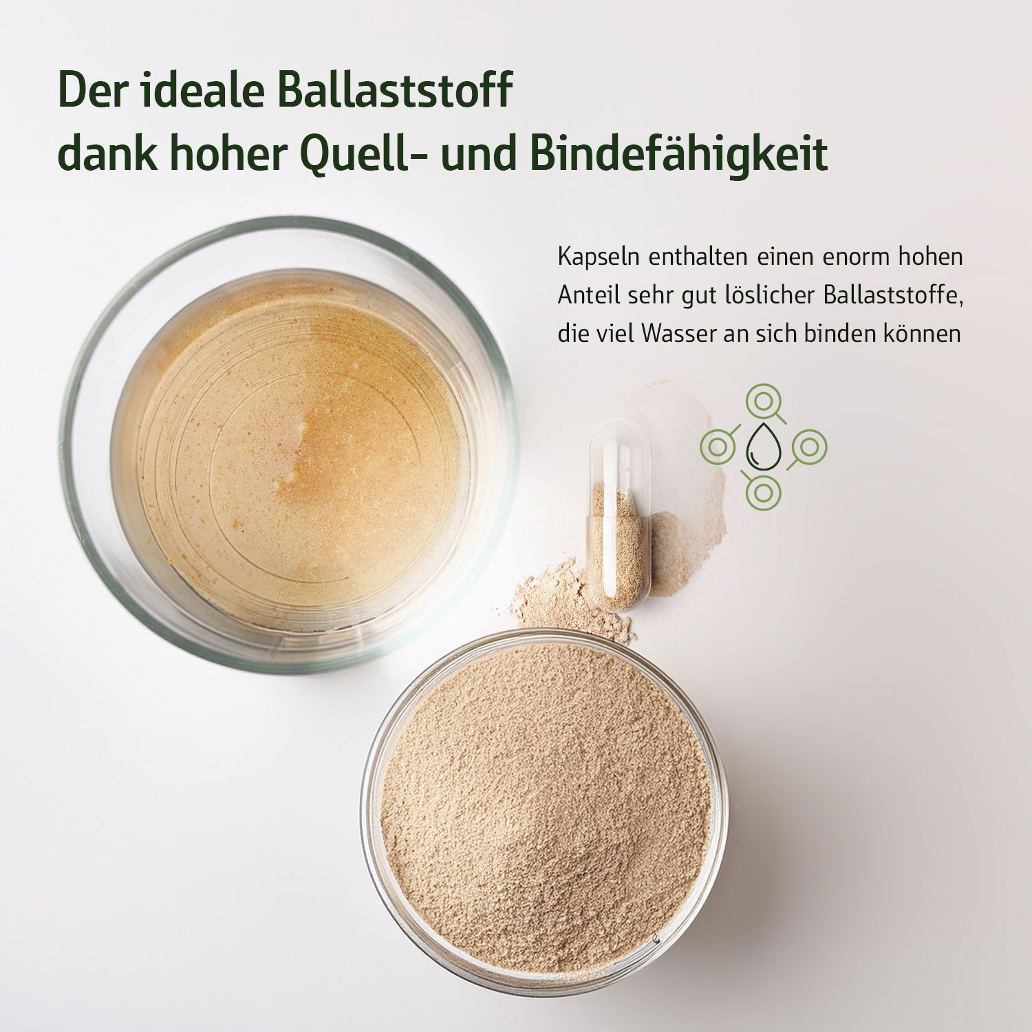 Zwei Schalen mit pulverförmigem Ballaststoff und eine Kapsel auf hellem Hintergrund, die hervorragende Quell- und Bindefähigkeit demonstrieren