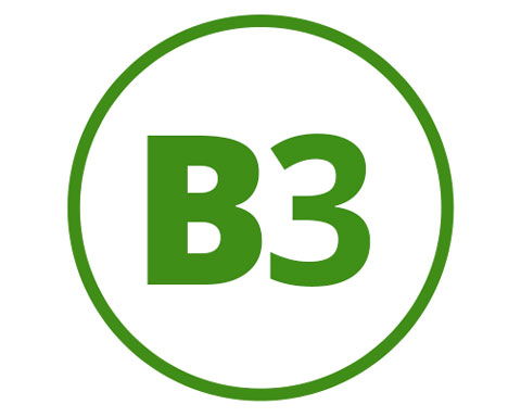 Niacin (B3)
