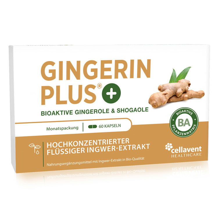 Gingerin Plus – der Bio-Extrakt aus Ingwer