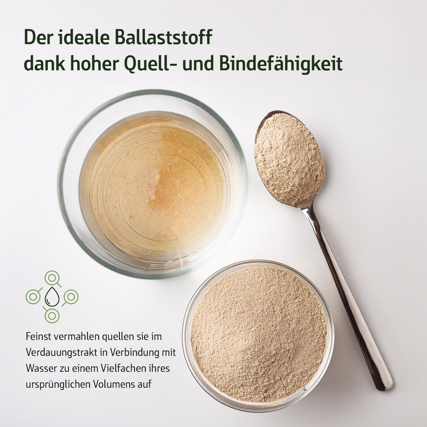 Flohsamenschalen Pulver - Combi Flora - Bio - 300g