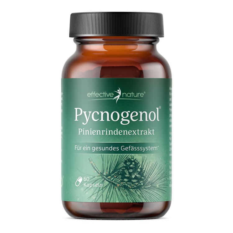 4650_Pycnogenol_Galerie_1 Pycnogenol® - Pinienrindenextrakt von effective nature