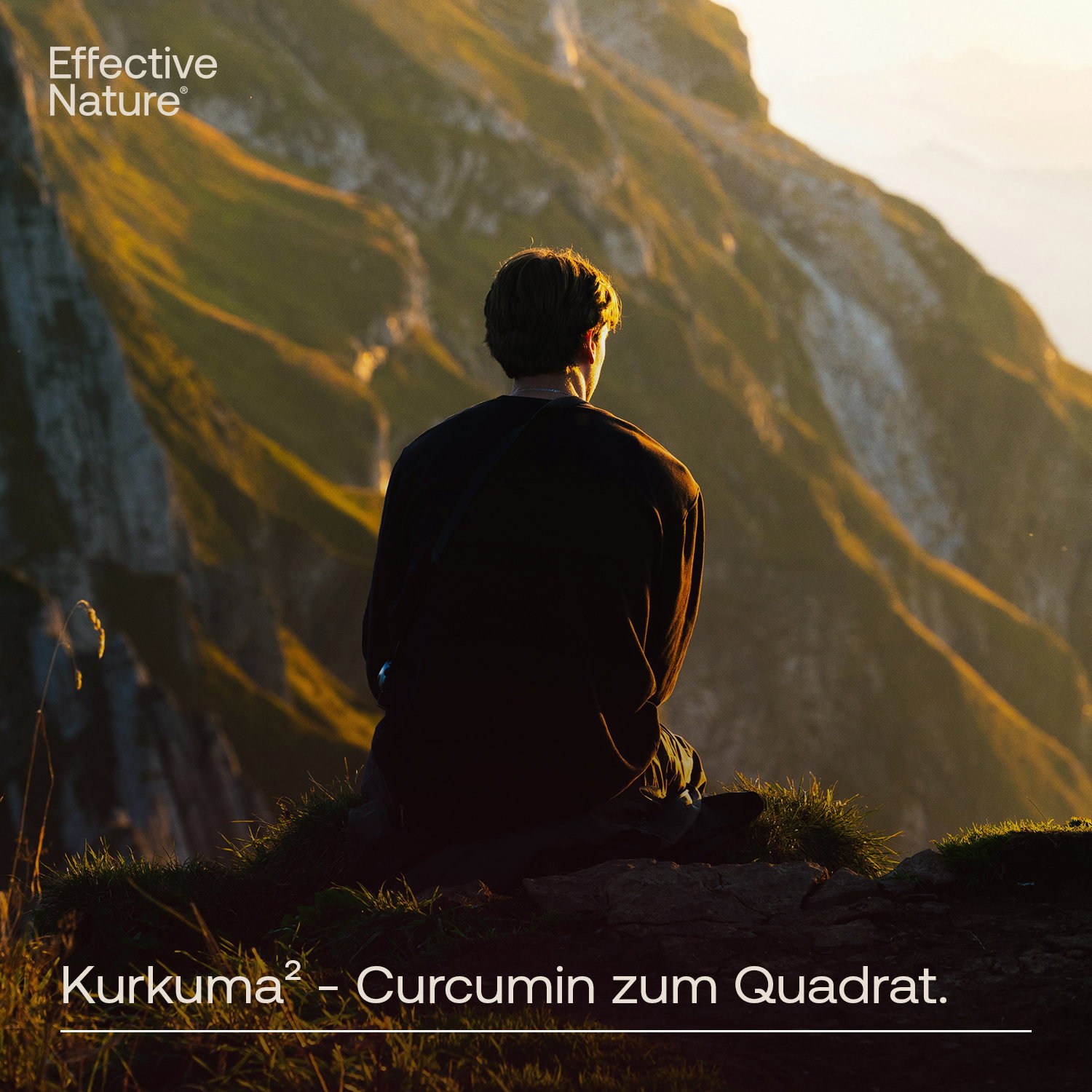 Curcumin hochdosiert Kapseln - 60 Stk. - 36g