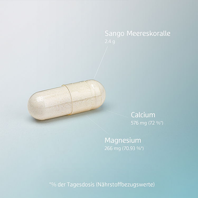 Kapsel mit Sango Meereskoralle, angereichert mit 576 mg Calcium und 266 mg Magnesium