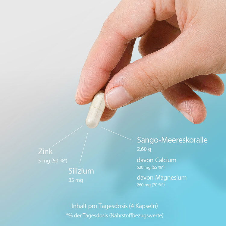 Inhalt pro Tagesdosis (4 Kapseln): Calcium 520 mg (65 %*), Magnesium 260 mg (69.34 %*), Zink 5 mg (50 %*)