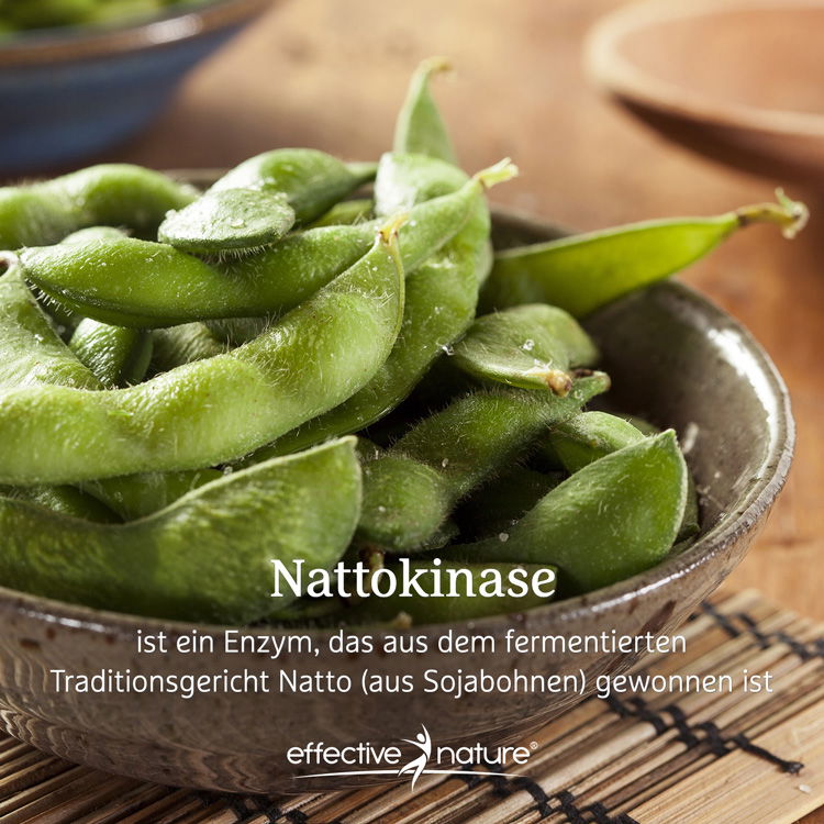 Nattokinase ist ein Enzym, das aus dem fermentierten Traditionsgericht Natto gewonnen wird. 