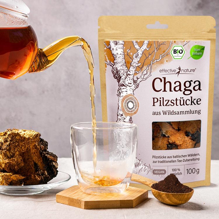 Chaga Pilzstücke - Bio - 100g