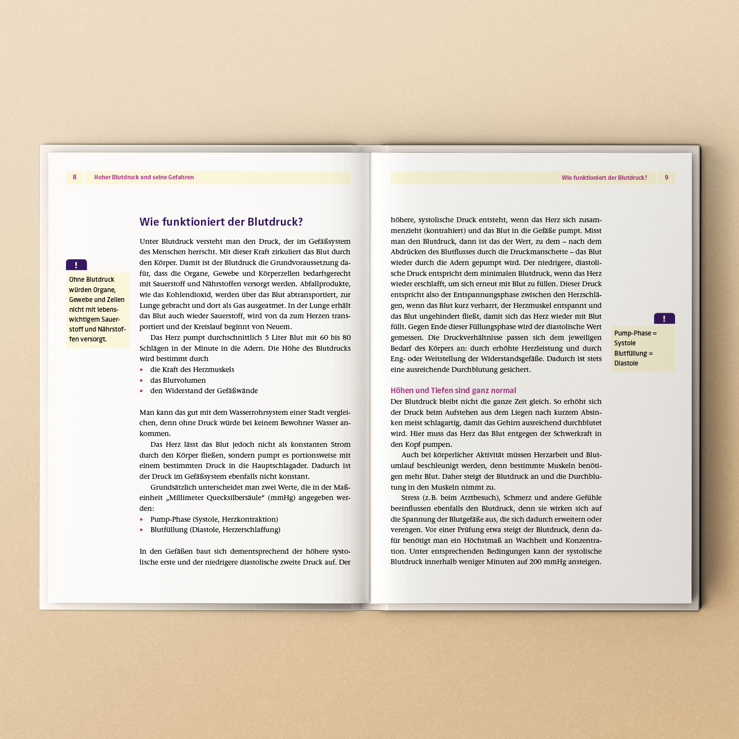 Doppelseitiges Buch, das erklärt, wie Blutdruck funktioniert, mit Grafiken und Textabschnitten über die Rolle des Blutdrucks im Körper.