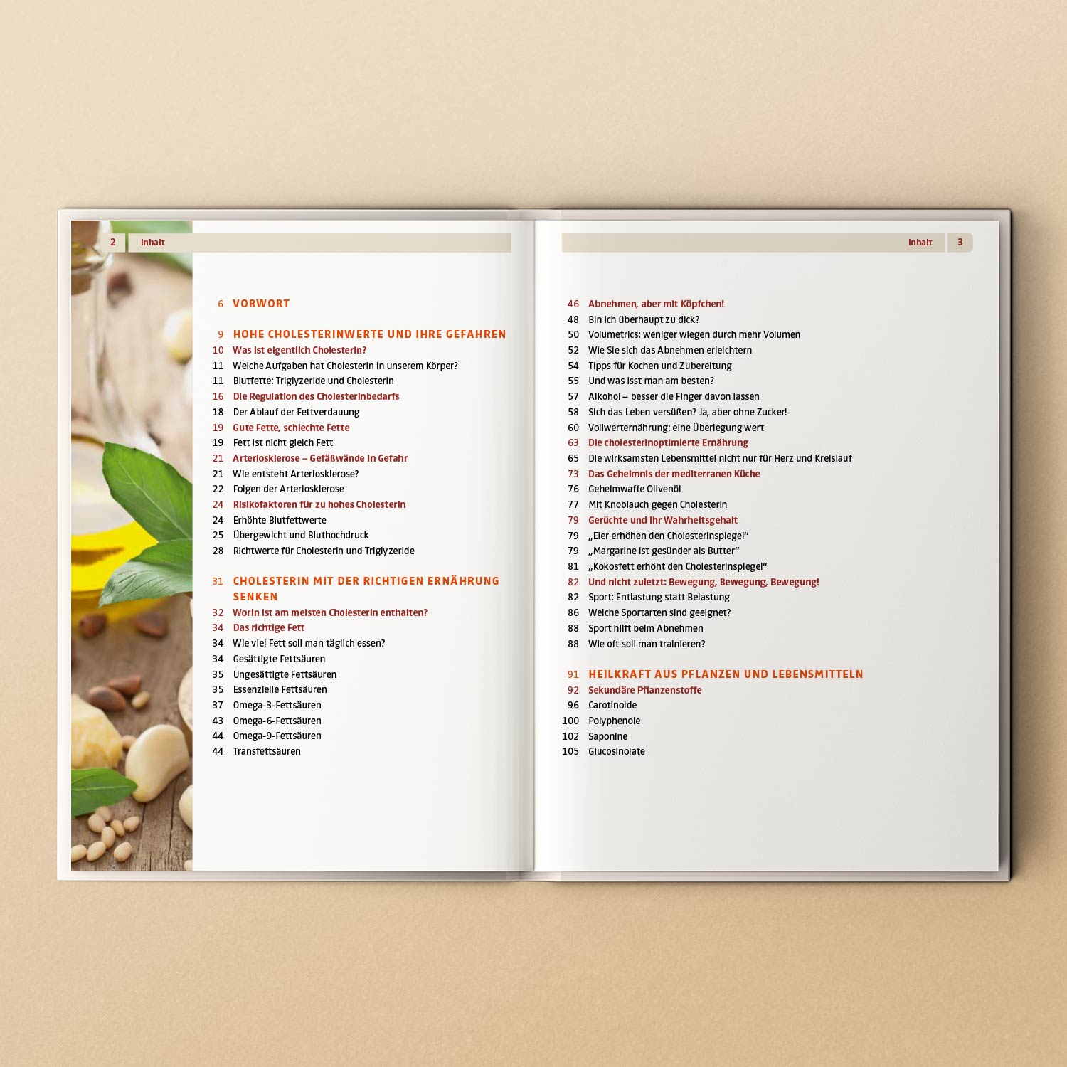Geöffnetes Buch zeigt Inhaltsverzeichnis zu Cholesterin, Ernährung und Heilpflanzen.
