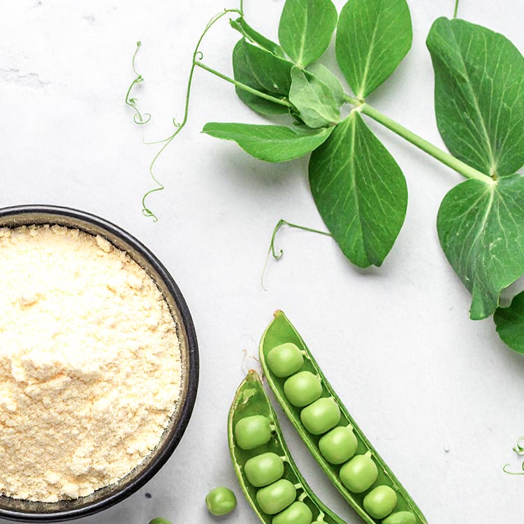 Erbsenproteinpulver und Erbsen Erbsenproteinpulver und Erbsen