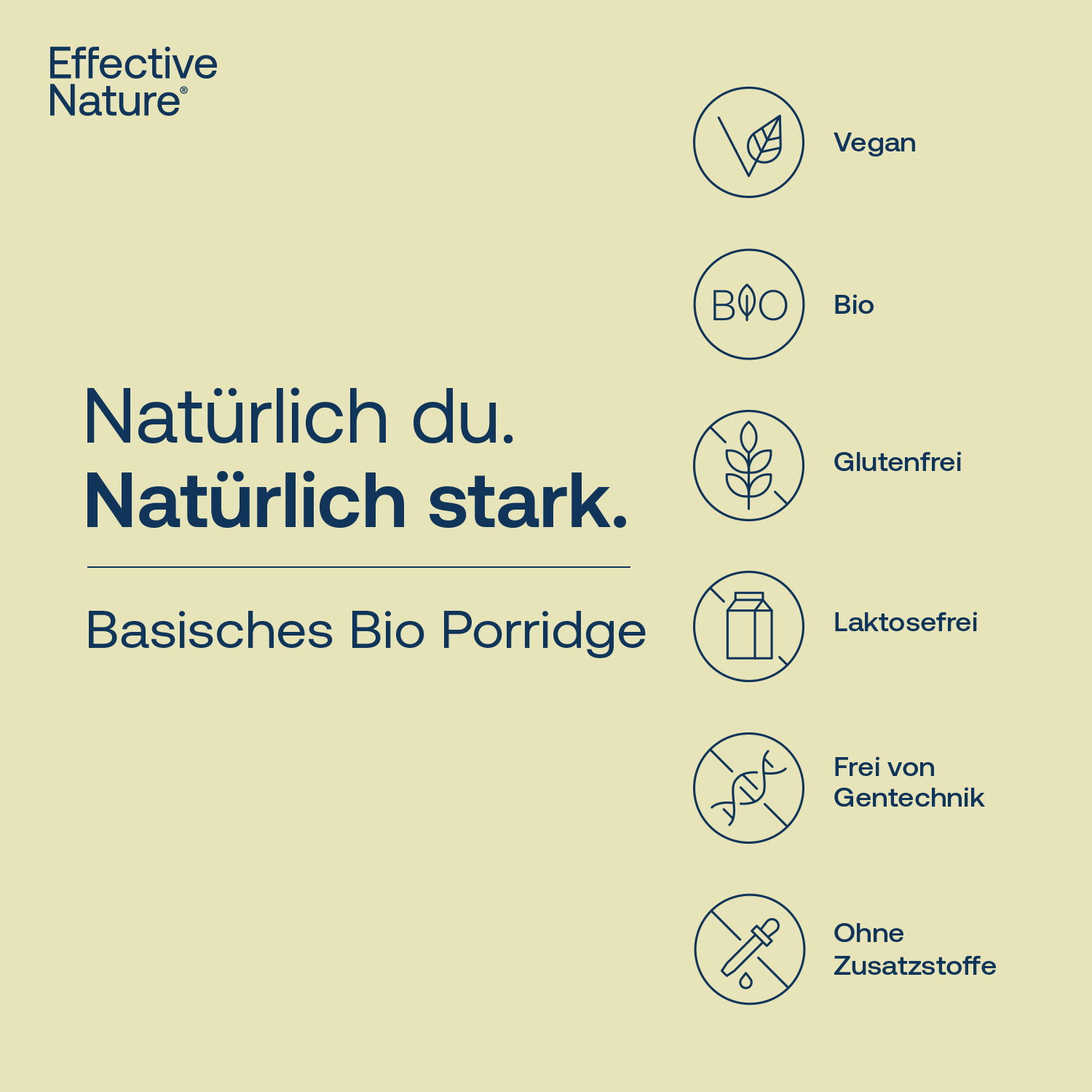 Basisches Porridge - Bio - 1000g