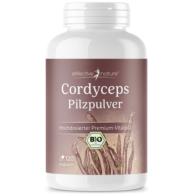 Cordyceps Bio-Pilz