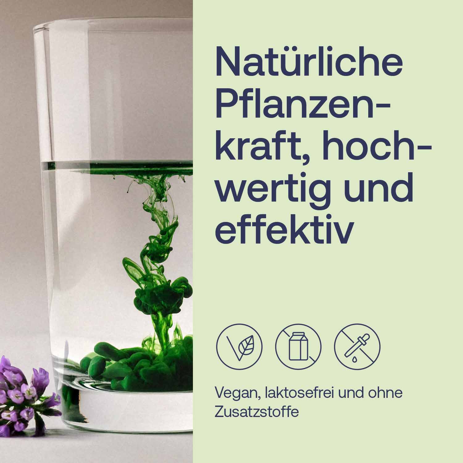Chlorophyll-Tropfen - Glasflasche mit Pipette - 50ml