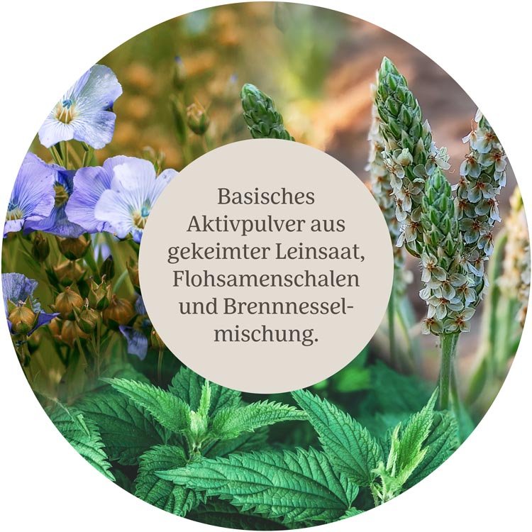 Basisches Aktivpulver - Bio - 150g