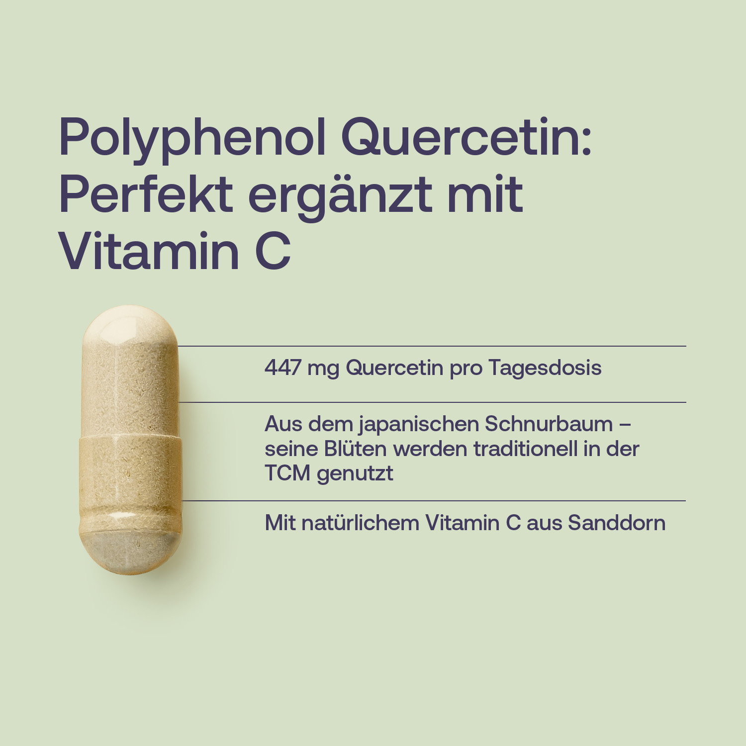 Quercetin-Kapseln - 60 Stk. - 33g