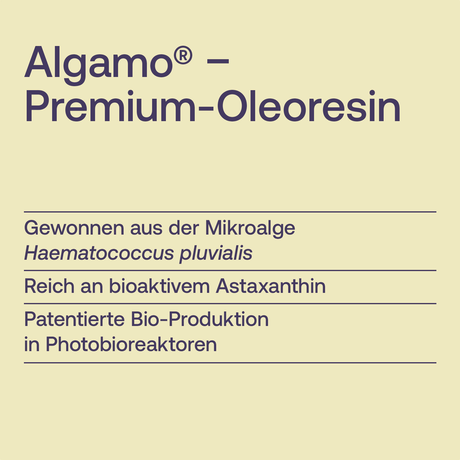 Algamo Premium-Oleoresin, reich an Astaxanthin, bio-produziert in Photobioreaktoren